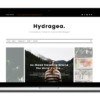 hydragea