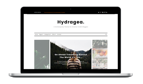 hydragea