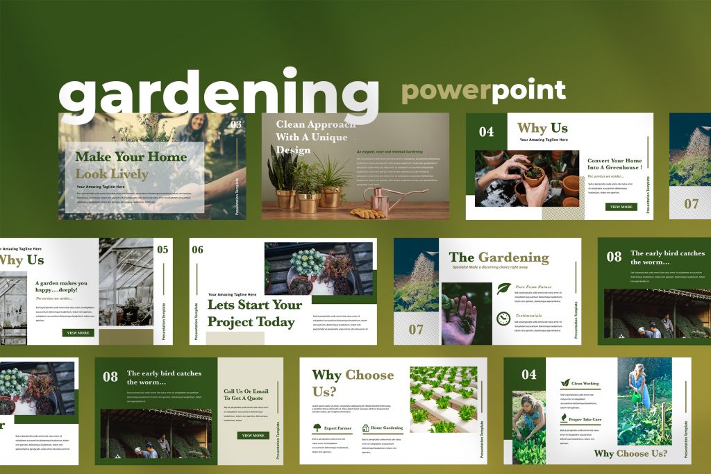 Ellen Powerpoint Presentation | TMint
