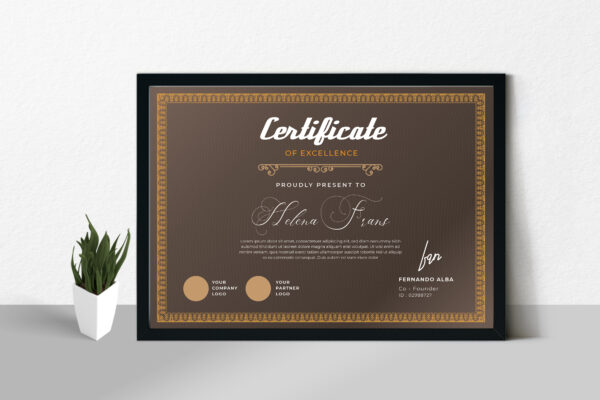 Certificate 01