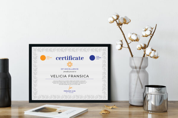 Certificate 03
