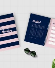 Worksheet Daily Planner Book - Three