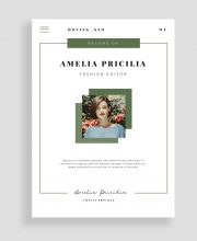Resume Template 007
