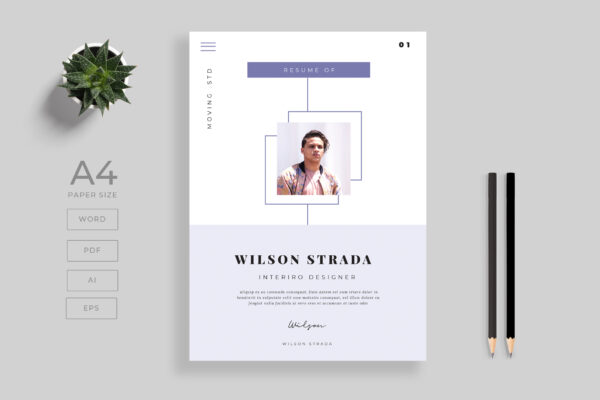 Resume Preview 01