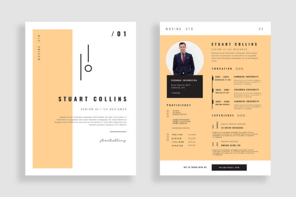 Resume Preview 02