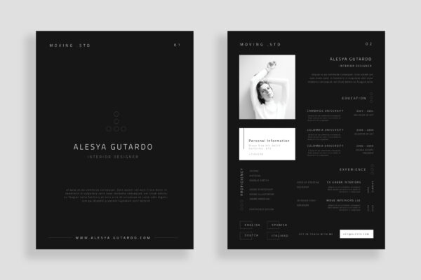 Resume Preview 02