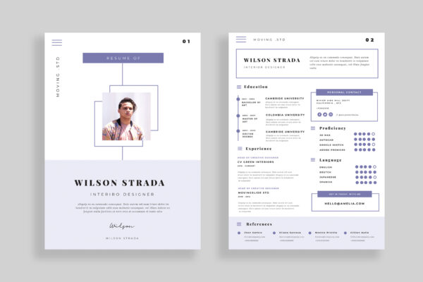Resume Preview 02
