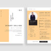 Resume Preview 03
