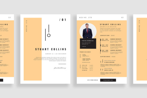 Resume Preview 03