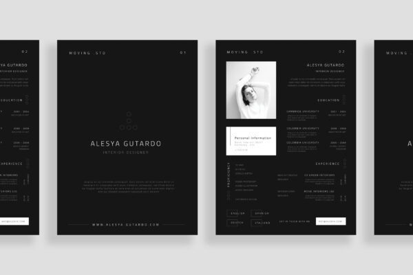 Resume Preview 03