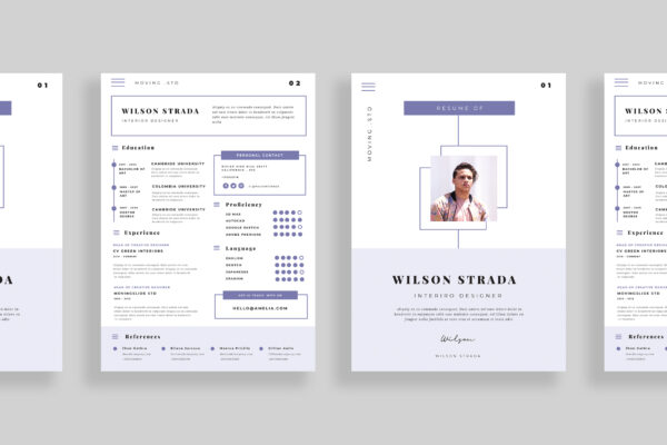 Resume Preview 03