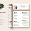Resume Preview 01