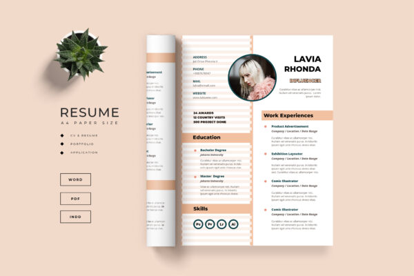 Resume Preview 01
