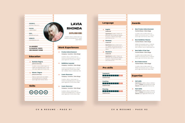 Resume Preview 02