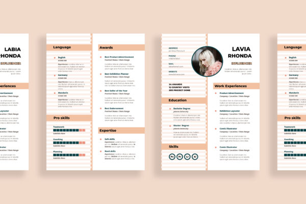 Resume Preview 04