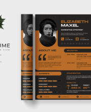 Professional Resume Template