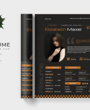 Professional Resume Template