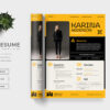 Resume Preview