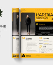 Professional Resume Template