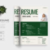 Resume Preview