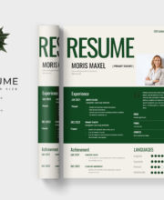 Professional Resume Template