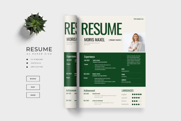 Resume Preview